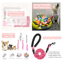 Kit de démarrage essentiel pour chiots de petite et moyenne taille, 31 pièces, rose, violet, orange, bleu