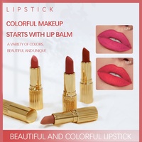 Rouge à Lèvres Mat Velours Longue Tenue Personnalisé Waterproof Luxe Marque Privée