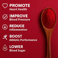 Notre propre marque de poudre de betterave, extraits végétaux purs, sans gluten, idéale pour les mélanges superalimentaires et les shakes protéinés.