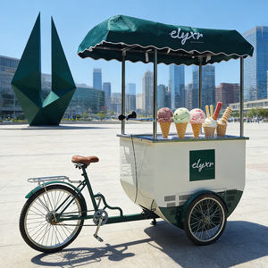 Carritos de Gelato Italianos con Ruedas, Carrito de Venta Ambulante de Helados Personalizado con Congelador - Product Image 6