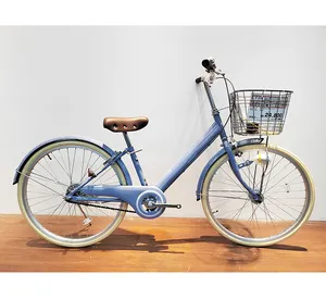 Source Factory Wholesale Adult Bicycle 24 Inch Women And Men City Bike