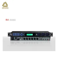 Processeur audio numérique actif professionnel Seer RV-3000 pour KTV, sortie stéréo/mono, construction métallique, design portable, origine CN