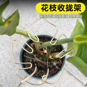 Plant Support <b>Rod</b> For Monstera Deliciosa <b>Plastic</b> Coated Garden Use Simple Style Plant Protection Device - Product Image 5