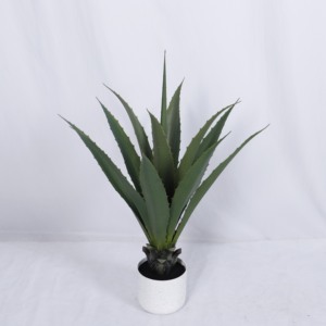 Plante <span class=keywords><strong>d</strong></span>'<span class=keywords><strong>Agave</strong></span> Artificielle Réaliste, Faux Bonsaï Résistant aux Intempéries, Parfaite pour la Maison, le Bureau, le Jardin et l'Hôtel, 3 Pieds - Product Image 2