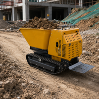 Kostenloser Versand 1000kg Mini-Raupendumper Benzinmotor Selbstladend Hoher Lastmoment 1 Jahr Garantie