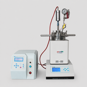 Réacteur de laboratoire de type spécial 316L HT-CSB 12,5 MPa avec disque de <span class=keywords><strong>rupture</strong></span> et manomètre - Product Image 6