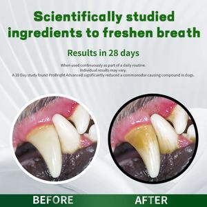 ग्रीन टी निकालने के साथ सभी नस्लों के लिए कारखाने प्रत्यक्ष पालतू पूरक और विटामिन दंत सफाई पाउडर कुत्ते दंत चिकित्सा - Product Image 3