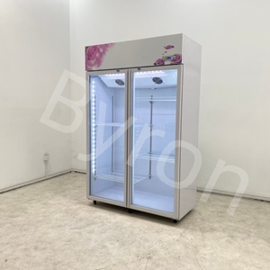 Enfriador Comercial <span class=keywords><strong>Byron</strong></span> para Flores Blancas, Sistema de Enfriamiento sin Escarcha y sin Drenaje para Floristerías - Product Image 6