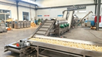 Équipement de production de pop-corn entièrement automatique de pointe, ligne de production de pop-corn aux saveurs variées, vente chaude