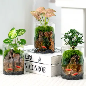 OEM <span class=keywords><strong>Terrarium</strong></span> Hydro ponic Pflanzen zylinder Vase Moos <span class=keywords><strong>Terrarium</strong></span> Wohnkultur Tischplatte <span class=keywords><strong>DIY</strong></span> Wald Pflanzer Glas mit Deckel für den Innenbereich - Product Image 1