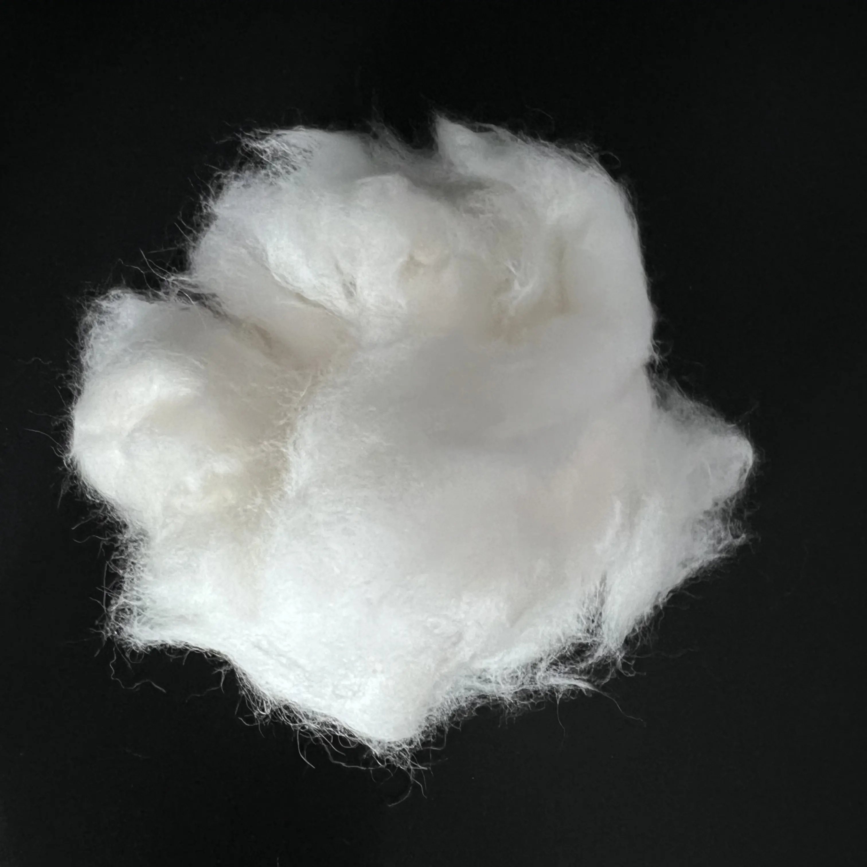 Bulu kelinci harga termurah untuk tekstil bulu kelinci kualitas tinggi grosir