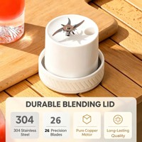500ml Draagbare Blender Persoonlijke Smoothie Maker voor Shakes, Sappen, IJsvergruizing, USB Oplaadbaar, Kleine Mixer