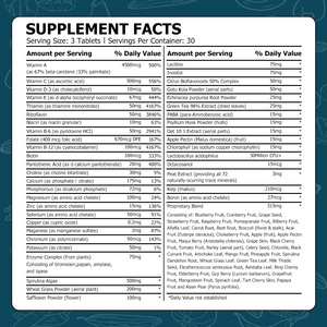 Comprimés multivitaminés végétaliens de haute qualité avec riboflavine pour l'énergie, la santé cérébrale, la musculature et l'immunité, faciles à avaler - Product Image 2