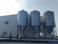 Bâtiment de ferme avicole préfabriqué en structure d'acier galvanisé, poulailler automatique de haute qualité à vendre