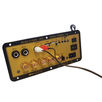 Fabrika D100 yüksek güç bas amplifikatör kurulu 12V 24V 220V Subwoofer uzaktan kumanda ile HI-FI USB iletişim araba ses