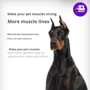 Venta caliente 11-en-1 Suplemento de comida para perros Premium Alta proteína 11-en-1 Muscle Gaining Soft Chew Tablets para perros para comercio exterior - Product Image 4