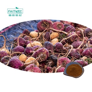 Bán buôn Chất lượng cao 10:1 20:1 30:1 màu Đỏ Maca rễ chiết xuất bột Màu Đỏ Maca gốc bột màu Đỏ Maca chiết xuất - Product Image 1