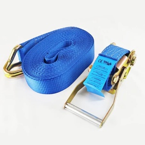 100% Polyester <span class=keywords><strong>Webbing</strong></span> vành đai polyester Ratchet Tie xuống dây đeo với kéo móc - Product Image 2