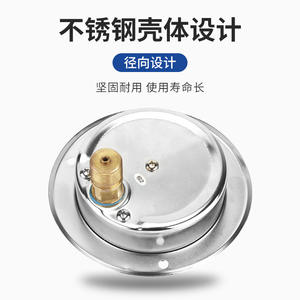 Manomètre hydraulique axial résistant aux vibrations YN100ZT 0-1.6-25-60MPa pour gaz et liquide, bord 0-1.6-25-60MPa - Product Image 4