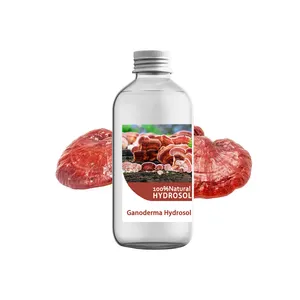 Ganoderma Lucidum (Lingzhi) Chiết Xuất Nước Hydrolate Hydrosol Mới