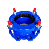 Raccord flexible à bride bleue, connecteur de tuyau à tige de liaison, longueur réglable, connexion femelle pour l'alimentation en eau