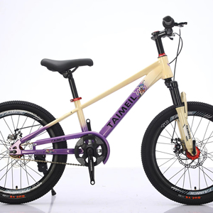 <span class=keywords><strong>Bicicletas</strong></span> de Montaña de 20 Pulgadas de Nuevo Diseño <span class=keywords><strong>para</strong></span> Niños y <span class=keywords><strong>Niñas</strong></span>, Horquillas de Acero Disponibles <span class=keywords><strong>para</strong></span> Venta al Por Mayor a Precios Bajos - Product Image 1