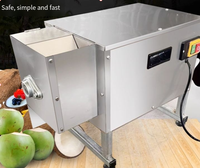 Elektrische Kokosvleesbreker Machine Hoge Capaciteit Kokosmolen Fruit- en Groenteverwerkingsinstallatie 220V/110V 1 Jaar Garantie