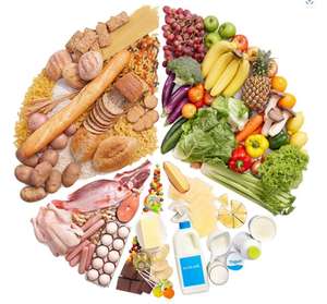 Venta Directa de Fábrica OEM ODM Oudi, Tienda de Mascotas, Importación de Alimento Seco para Gatos con Sabor a Pollo, Salmón y Atún, Alimento Crudo para Gatos - Product Image 2