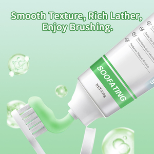<span class=keywords><strong>Dentifrice</strong></span> Rich <span class=keywords><strong>Aloe</strong></span> <span class=keywords><strong>Vera</strong></span> Menthe 100g Sans Fluor Haleine Fraîche Blanchissant pour Dents Sensibles Usage Domestique Personnalisable - Product Image 2