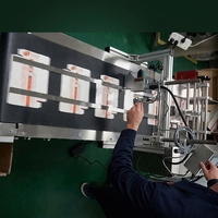 Ligne de production de machines de pagination automatique stable pour sacs en caoutchouc et PVC, avec alimentateur portable et imprimante jet d'encre