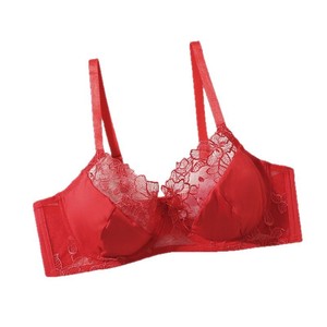 Reggiseni Plus Size per Donne, Servizio di Personalizzazione Logo e Etichetta, Lingerie Rossa in Pizzo Floreale Push-Up per Signore Sensuali - Product Image 5