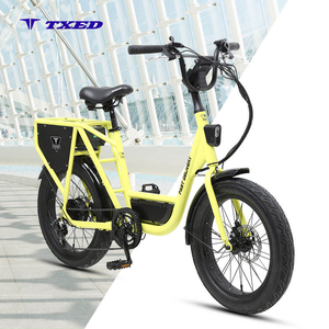 Bicicletta Elettrica TXED 20'' con Pneumatici Larghi per Consegne, Motore 48V 250W, Batteria al Litio, Bici Elettrica per Consegne - Product Image 1