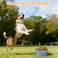 Bol pliable en silicone pour chien avec logo personnalisé, facile à laver, pliable, bol pour chiot