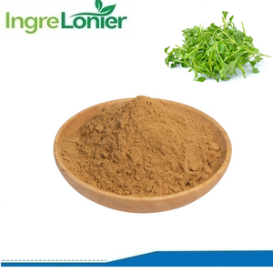 Polvo de extracto de berro de hierba Natural pura a precio de fábrica, polvo de extracto de capuchina <span class=keywords><strong>officinale</strong></span> en grado alimenticio - Product Image 2