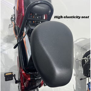 Vélo électrique économique pour étudiants avec roues <span class=keywords><strong>de</strong></span> 20 pouces et moteur <span class=keywords><strong>de</strong></span> 500W, accélérateur et assistance au pédalage, deux modes, batterie au plomb-acide - Product Image 4