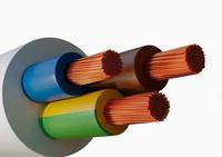 Cable Eléctrico con Conductor de Cobre, Aislamiento de PVC y Revestimiento de PVC