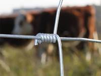 Alambre de hierro galvanizado de inmersión en caliente, alambre de bajo carbono para cerca de campo, granja de ovejas, ganado, valla de ganado, precio de fábrica
