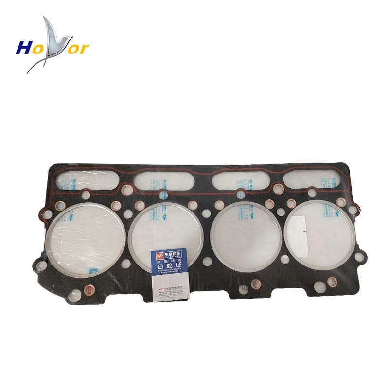 Diesel Engine Spare Parts BF6L913 Fuel