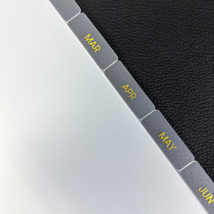 Strumenti a budget minimo per il sistema di buste ricaricabili pagina mensile con divisori di linguette laterali per 6 raccoglitori ad anelli - Product Image 4