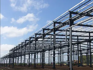 Современная сборная стальная конструкция здания склада/мастерской/офисного строительства