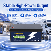 Batterie au lithium 24V de remplacement pour batteries au plomb, 200Ah 300Ah 25.6V LiFePO4 avec BMS pour camping-car/caravane, OEM usine