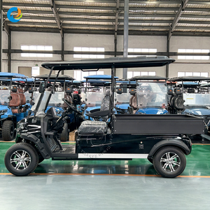 Robetaa 2026 Véhicule de golf électrique de luxe 2 places homologué route avec batterie lithium 72V 105Ah certifiée CE et benne de chargement – Offre Spéciale - Product Image 3