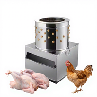 Machine à plumer la volaille Haoze TM-40 en acier inoxydable de précision, moteur 220V, capacité 10-100 poulets/heure, garantie 1 an