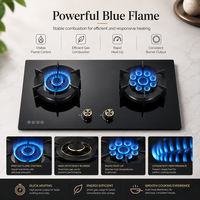 Cuisinière à gaz domestique à haute puissance, à flamme intense, avec coupure automatique de flamme, double brûleur au gaz naturel, 2 brûleurs