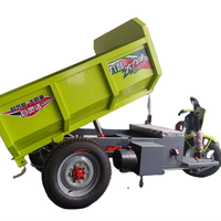 Tricycle électrique/tricycle trois roues mini camion à benne basculante pour la cargaison/cargaison de 3 roues pour toutes les routes ou utilisation de maison de ferme d'usine