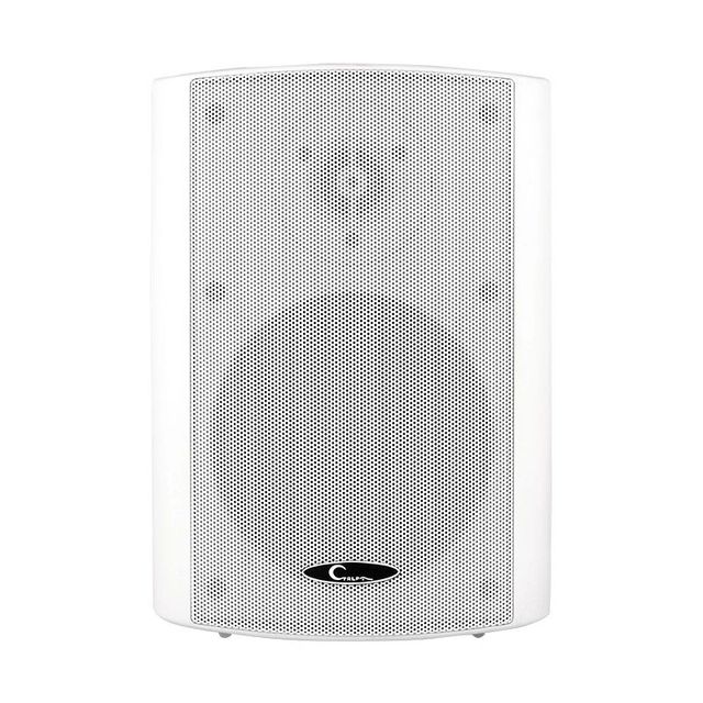 Durable & CE Certified CL612 30W Wall Mounted Speaker PA System Hanging Speaker Is Suitable for Conference , Security System