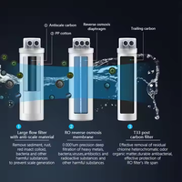 Machine à eau pure RO à TDS élevé OEM, filtre à eau par osmose inverse pour les maisons, les hôtels, système électrique à connexion rapide, fabriqué en plastique