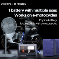 PISEN INV 1000W DC/DC Converter PHYLION e bike batterie 48V démarrage automatique onduleur générateurs pour la maison en cas de coupures de courant
