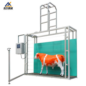 Sistema Intelligente di Misurazione Corporea per Bovini, Rilevatore Professionale delle Dimensioni dei Bovini per Allevamenti su Larga Scala - Product Image 3