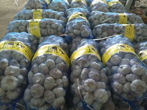 Maceta de ajo proporciona la mejor calidad de gran tamaño y 100% ajo seco orgánico empaquetado en caja fresca - Product Image 2